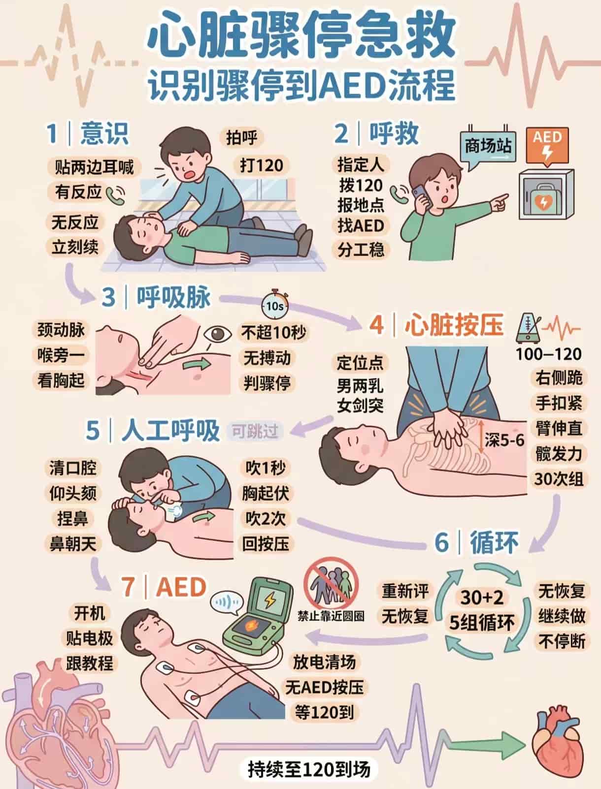 心肺复苏分步图解 · 图片待放置